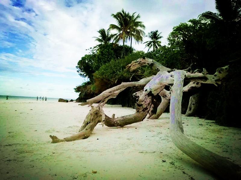 Diani Hostel Diani Beach Exterior photo